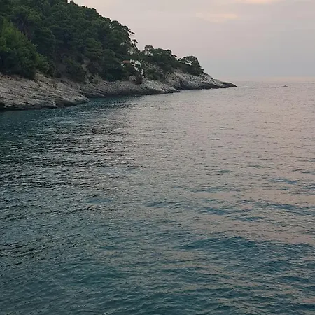 Delfini Pugnochiuso