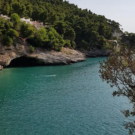 Delfini * Pugnochiuso