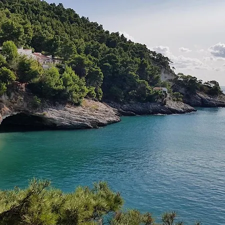 Apartmán Delfini