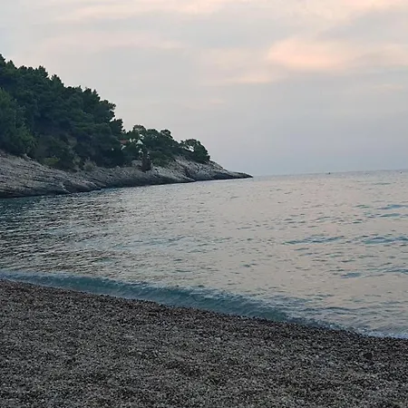 Delfini *